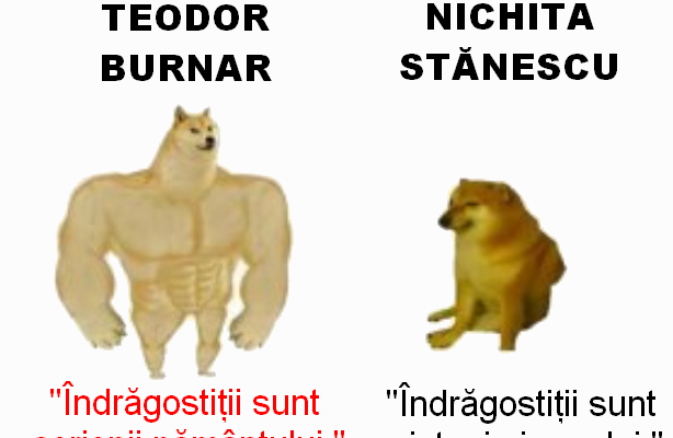teodor-burnar-vs-nichita-stanescu-meme